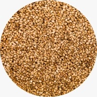 Biotin