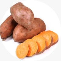 GABA
