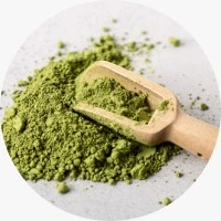 Riboflavin